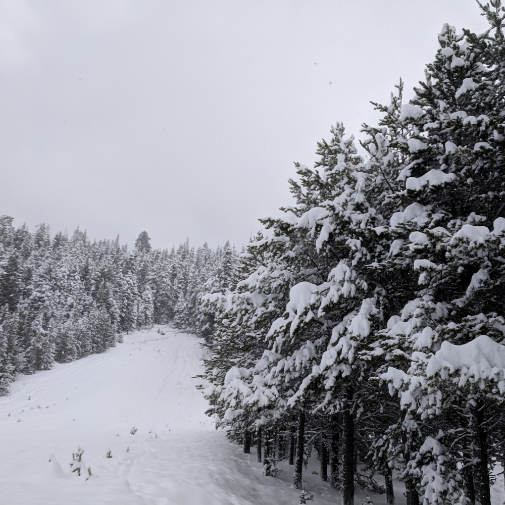 Meet your Posher, Ida